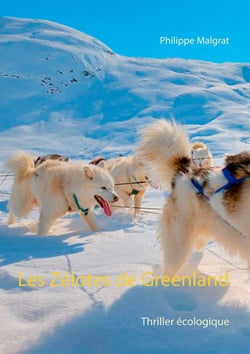 Les Zélotes de Greenland - Thriller écologique