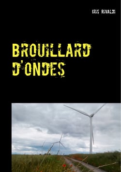 Brouillard d'ondes - Les aventures du commissaire Paul Berger