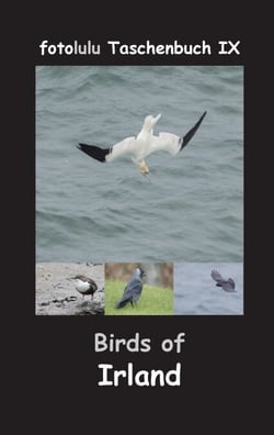 Birds of Irland - fotolulu Taschenbuch IX