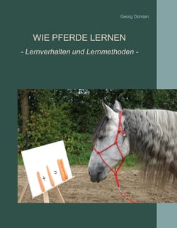 Wie Pferde lernen - Verhalten und Lernmethoden