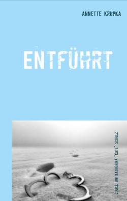 Entführt - Dritter Fall für Katherina "Kate" Schulz