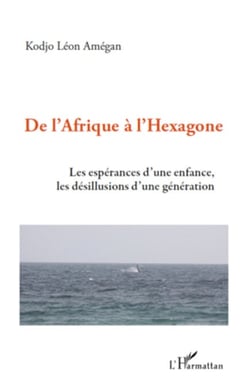 De l'Afrique à l'hexagone - Les espérances d'une enfance, les désillusions d'une génération