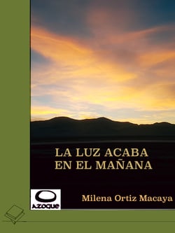 La luz acaba en el mañana - Su introducción práctica en la empresa