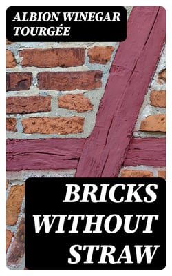 Bricks Without Straw - A Novel