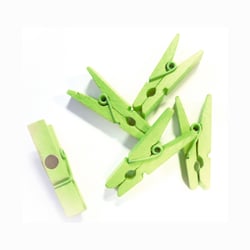  8 pinces bois magnet - vert