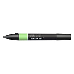 Marqueur double pointe Winsor & Newton - ProMarker - G338 - Pomme - Permanent