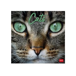 Calendrier mural 2024 Legami - 12 mois - Cats - 30 x 29 cm