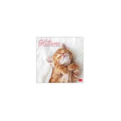 Calendrier Mural 2025 Avec Chatons Mignons - Organisation Et Déco Pour Amoureux Des Chats