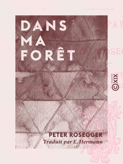 Dans ma forêt - Souvenirs du pays natal