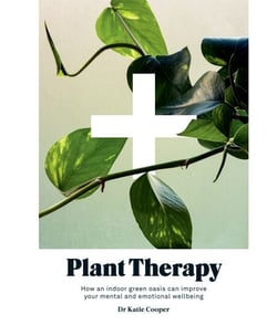 Plant Therapy - How an Indoor Green Oasis Can Improve Your Mental and Emotional Wellbeing