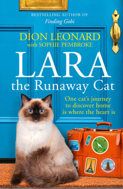 Lara The Runaway Cat - One cat’s journey to discover home is where the heart is