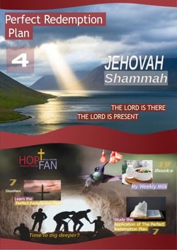 Perfect Redemption Plan 4 - Perfect Redemption Plan, #4