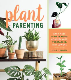 Plant Parenting - Easy Ways to Make More Houseplants, Vegetables, and Flowers