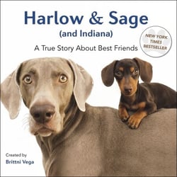 Harlow &amp; Sage (and Indiana) - A True Story About Best Friends