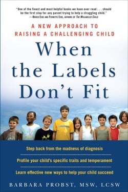 When the Labels Don't Fit - A New Approach to Raising a Challenging Child