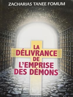 La Délivrance de L’emprise des Démons - ZTF: Autres Titres, #3