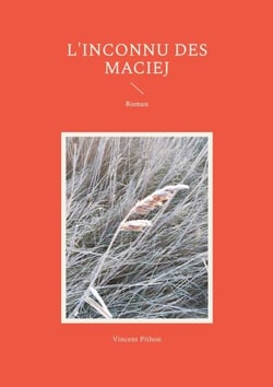L'inconnu des Maciej - Roman