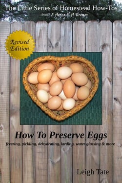 How To Preserve Eggs: Freezing, Pickling, Dehydrating, Larding, Water Glassing, &amp; More - The Little Series of Homestead How-Tos from 5 Acres &amp; A Dream, #1