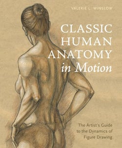 Classic Human Anatomy