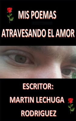 Mis Poemas Atrvezsando El Amor