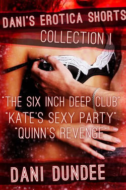 Dani's Erotica Shorts Collection I - Quickies!, #4