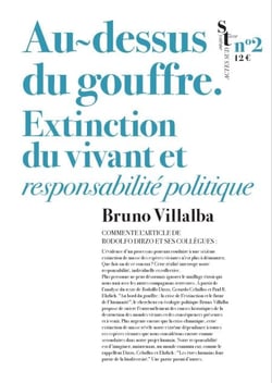 Au-dessus du gouffre - Extinction du vivant et responsabilité politique