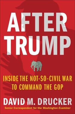 In Trump's Shadow - The Battle for 2024 and the Future of the GOP