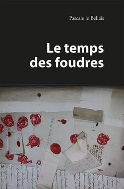 Le temps des foudres - Roman historique