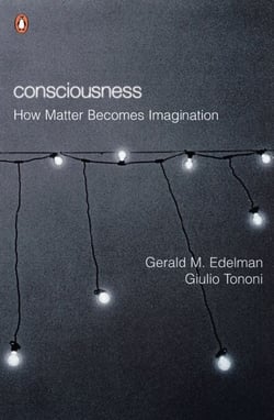 Consciousness - How Matter Becomes Imagination