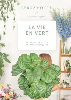 La vie en vert - Prendre soin de ses plantes et bouquets