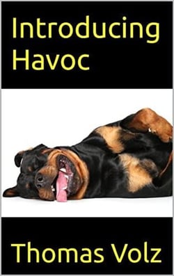 Introducing Havoc