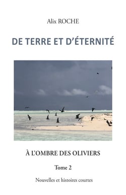 De terre et d’éternité - À l'ombre des oliviers - Tome 2