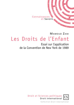 Les Droits de l'enfant - Essai sur l'application de la Convention de New York de 1989