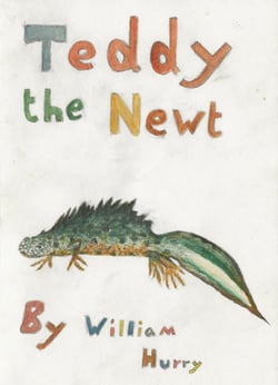 Teddy the Newt