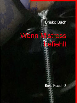 Wenn Mistress befiehlt - Böse Frauen 2