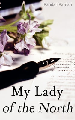 My Lady of the North - Civil War Novel