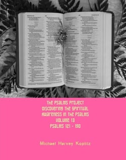 The Psalms Project Volume Thirteen - Discovering the Spiritual World through the Psalms – Psalm 121 - 150 - Psalms Project, #13