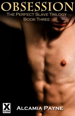 Obsession - The Perfect Slave - Book Three