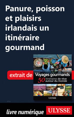 Panure, poisson et plaisirs irlandais - Un itinéraire gourmand