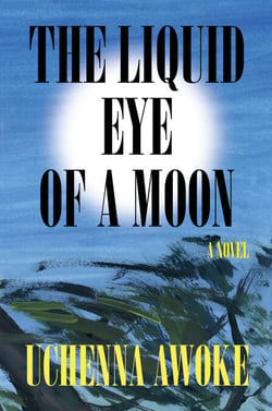 The Liquid Eye of a Moon - A Novel
