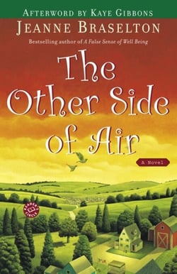 The Other Side of Air - A Novel