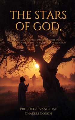 The Stars Of God. One Fell And Sowed Bad Seeds To The Earth, And One Was Sent To The Earth To Sow The Good Seeds