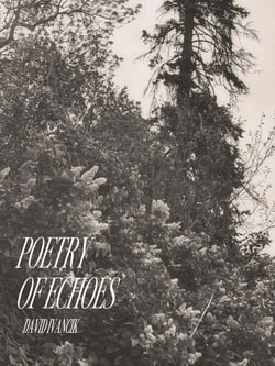 Poetry of Echoes