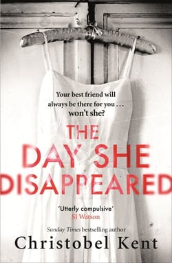 The Day She Disappeared - From the bestselling author of The Loving Husband
