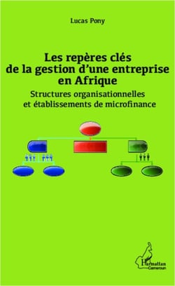 Les repères clés de la gestion d'une entreprise en Afrique - Structures organisationnelles et établissements de microfinance