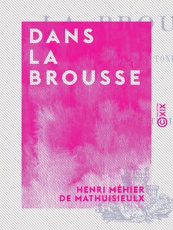Dans la brousse - Souvenirs du Tonkin