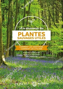À la découverte des plantes sauvages utiles - Comment les identifier, comment les utiliser