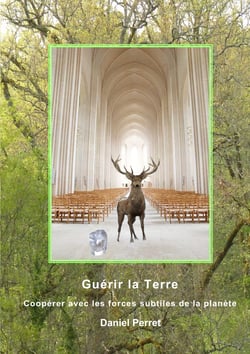Guérir la Terre - Une coopération avec les forces subtiles de la planète