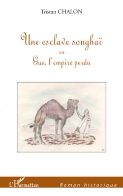 Une esclave songhaï - Ou Gao, l'empire perdu
