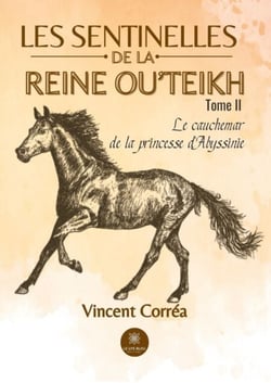 Les sentinelles de la reine Ou’Teikh -Tome 2 - Le cauchemar de la princesse d’Abyssinie